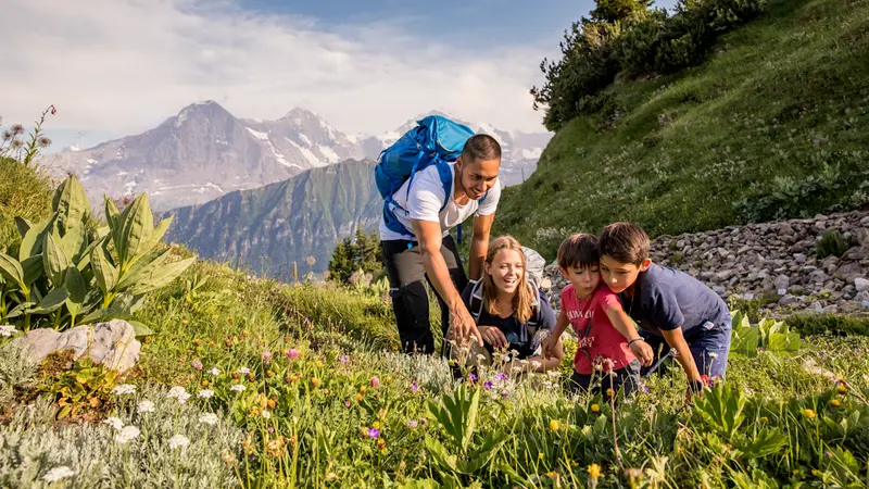 Schynige Platte