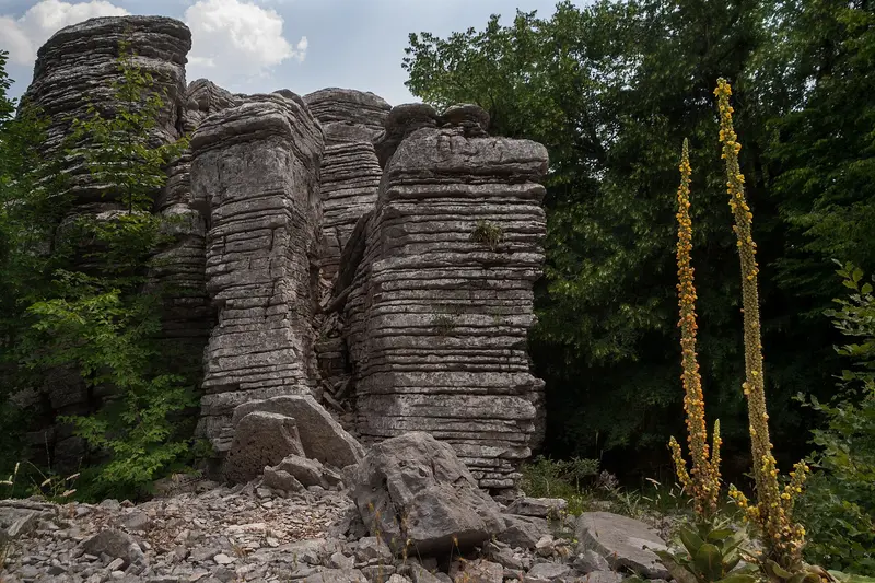 Stone Forest (Petrino Dasos)
