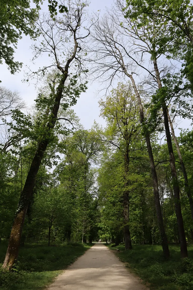 Colombière Park