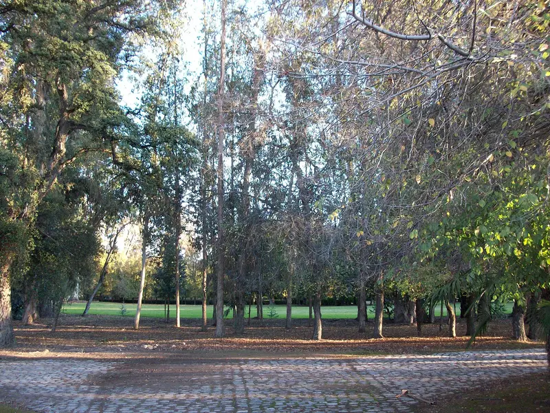 Museo Andino
