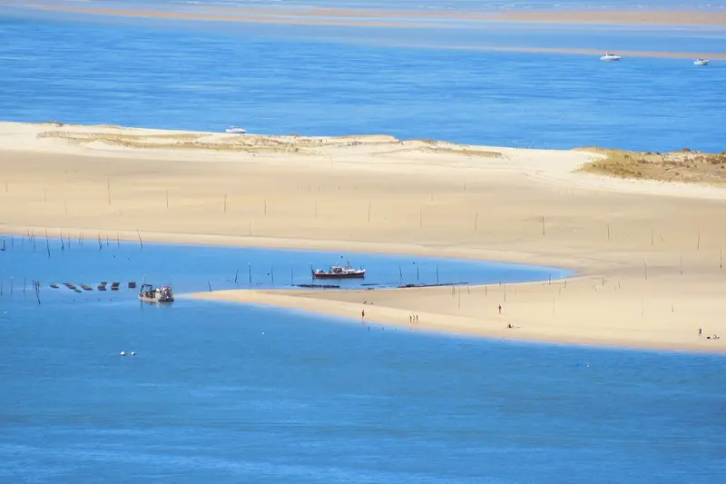 Banc D'Arguin