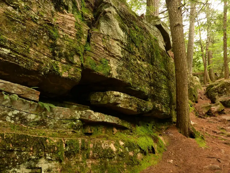 Bracebridge
