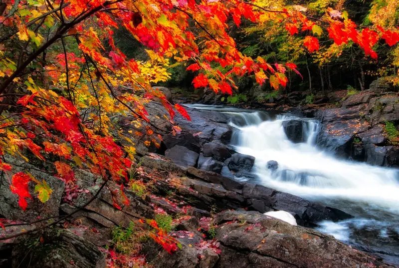 Tangle Creek Falls, AB