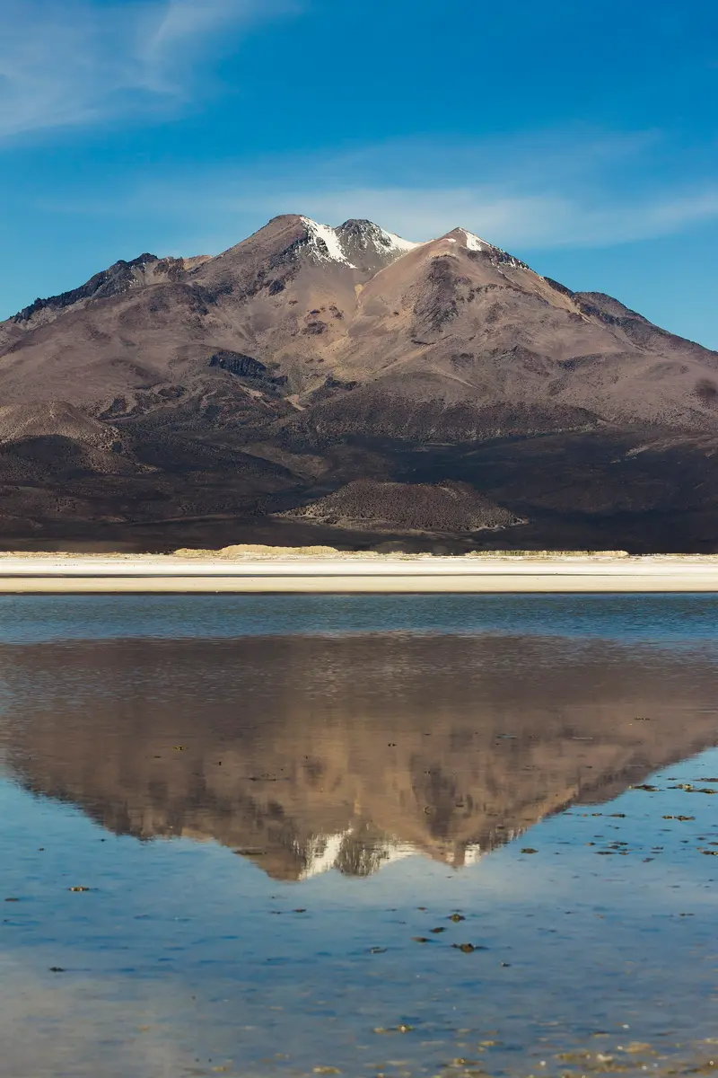 Monumento Natural Salar de Surire