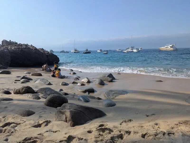 Wildview Beach