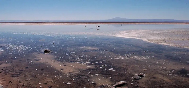 Laguna Puilar