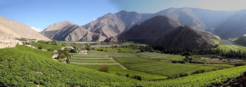 Mirador Pisco Elqui