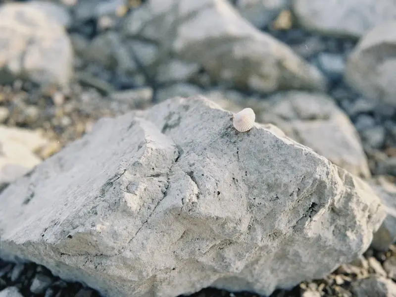 Diamond Rock