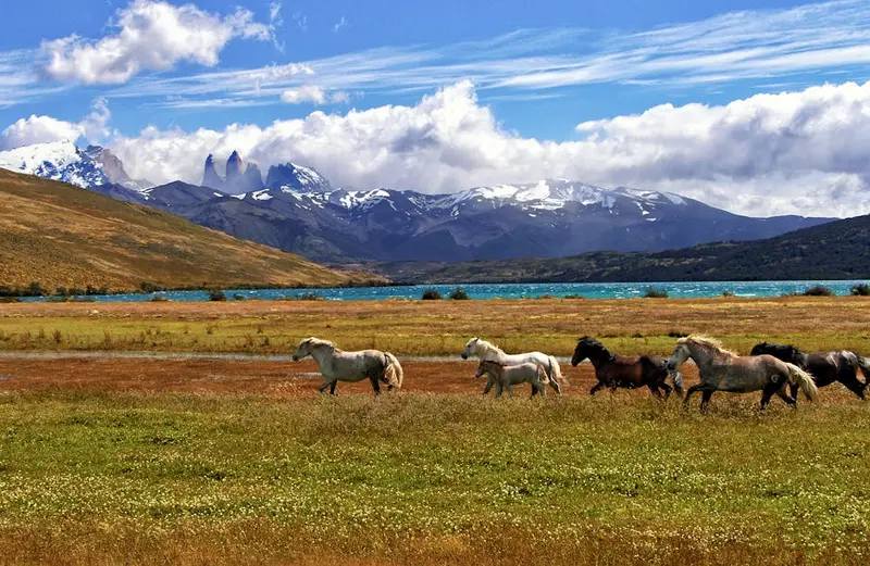 Torre del Paine Norte