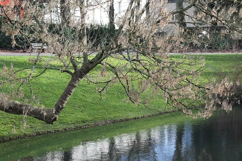 Botanical Garden