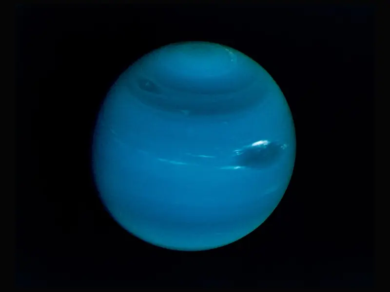 Neptune Croisière