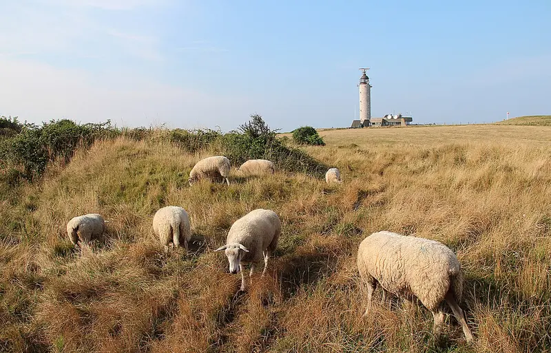 Lighthouse Cap Gris-Nez