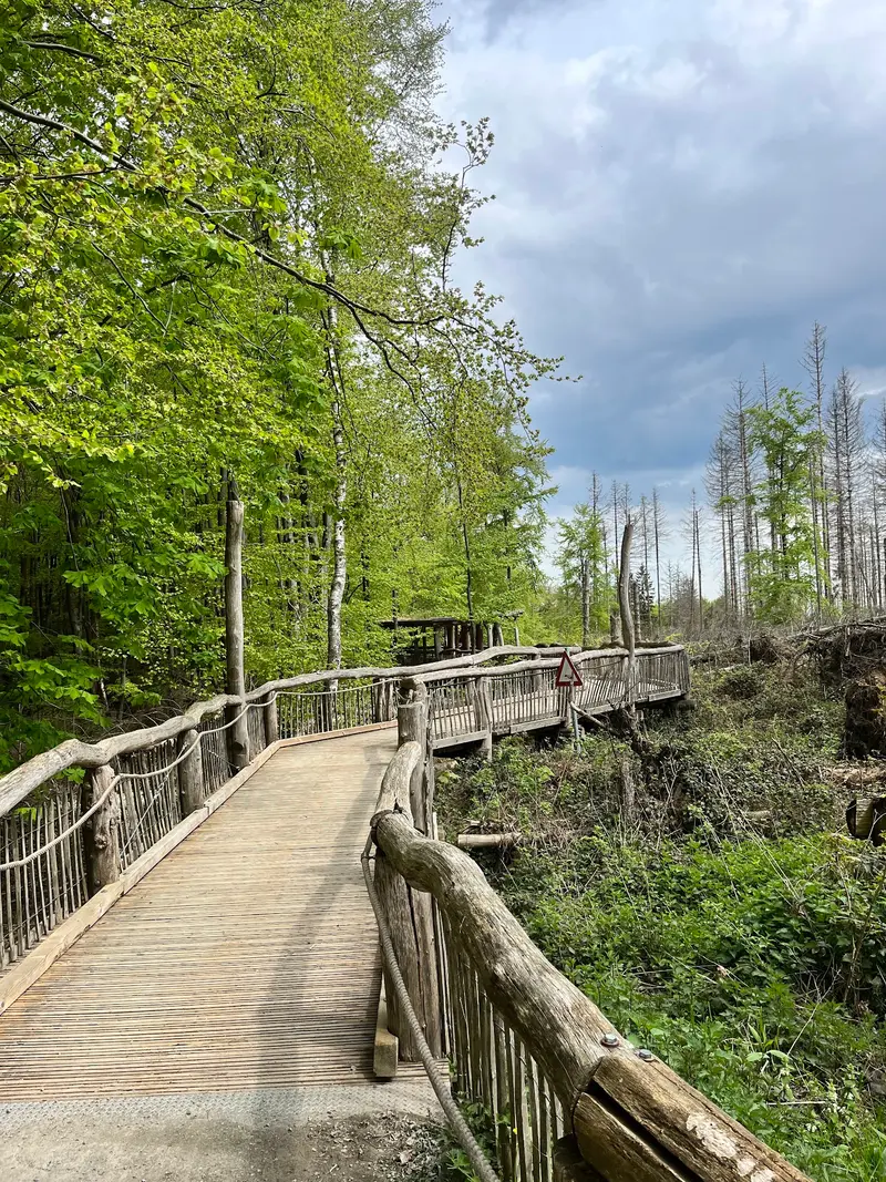 Naturerlebnisraum Wilder Kermeter