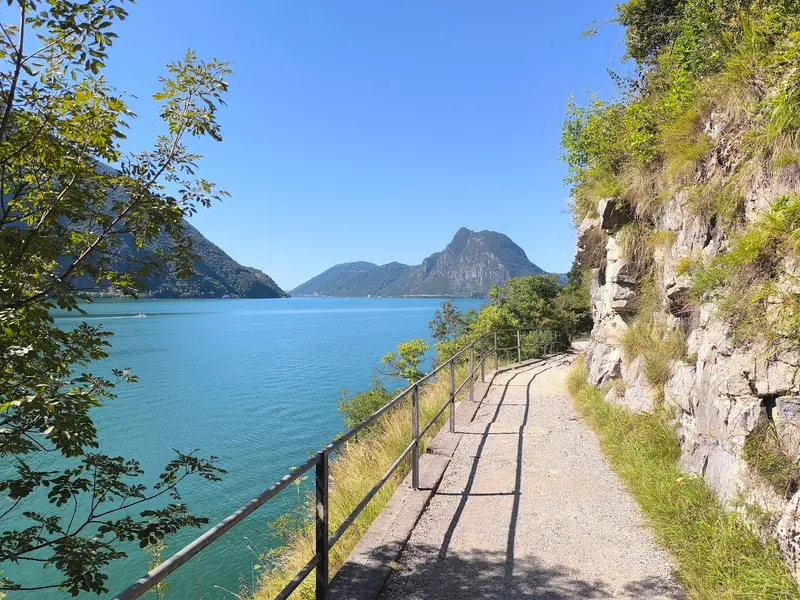 Sentiero dell'olivo