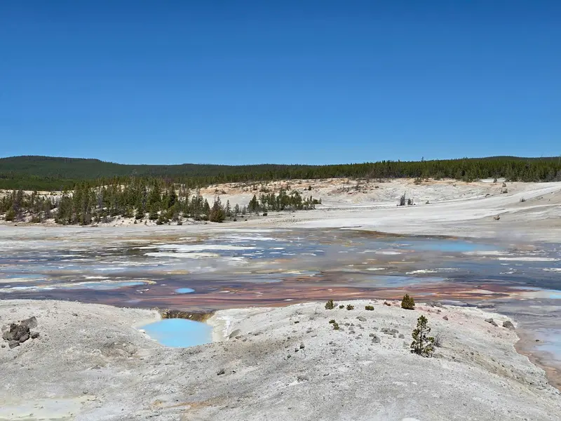 Norris Geyser Basin