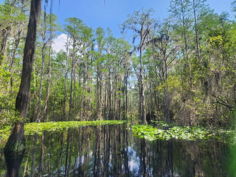 Okefenokee National Wildlife Refuge