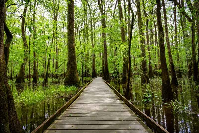 Congaree National Park