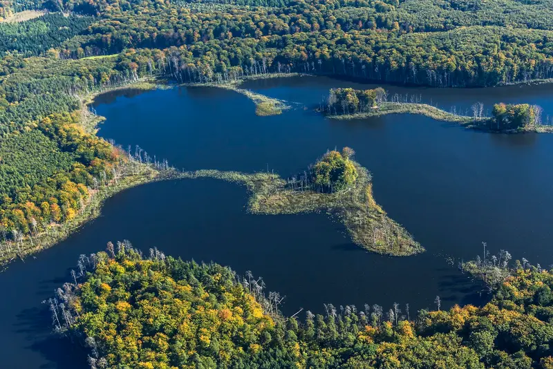 Müritz-Nationalpark