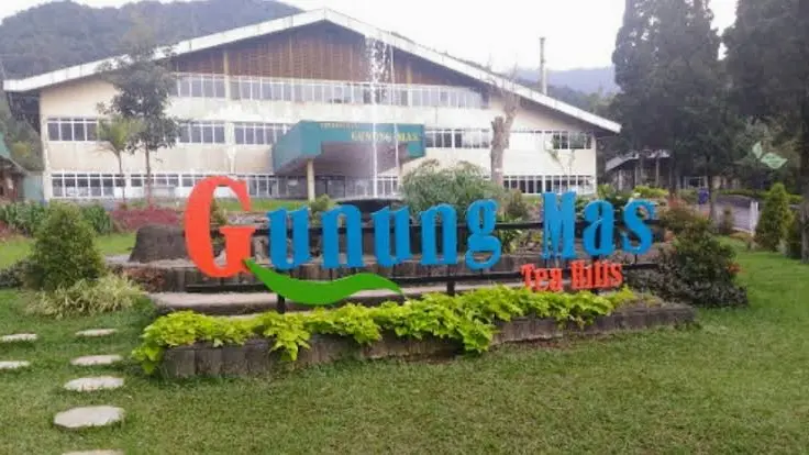 Teeplantage Gunung Mas