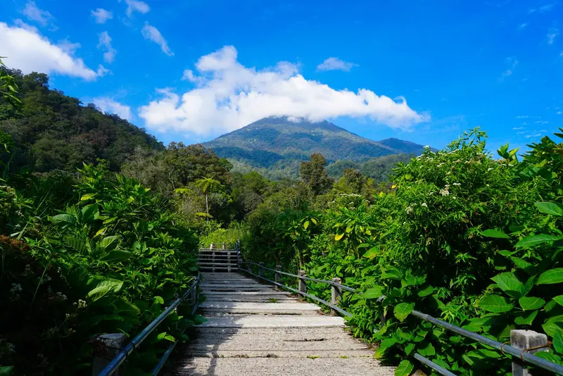 Nationalpark Gunung Gede Pangrango