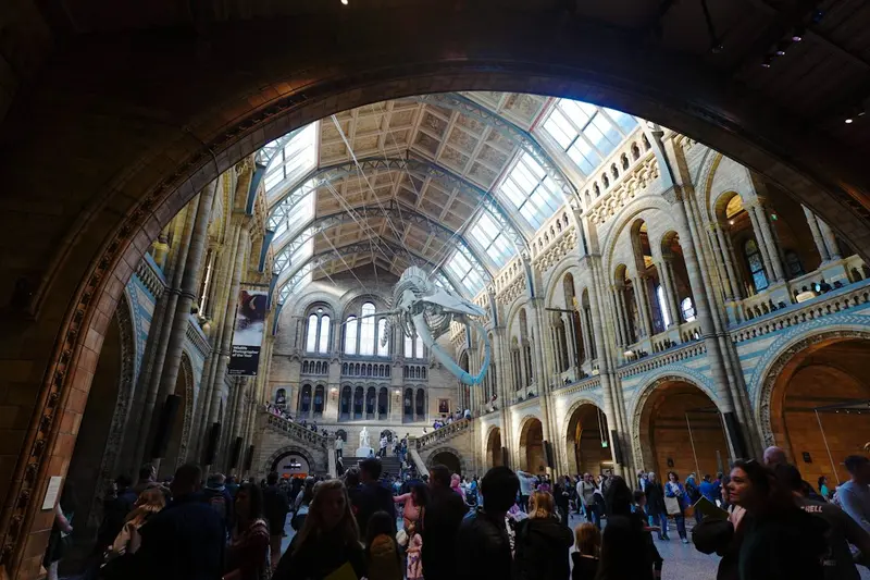 Natural History Museum