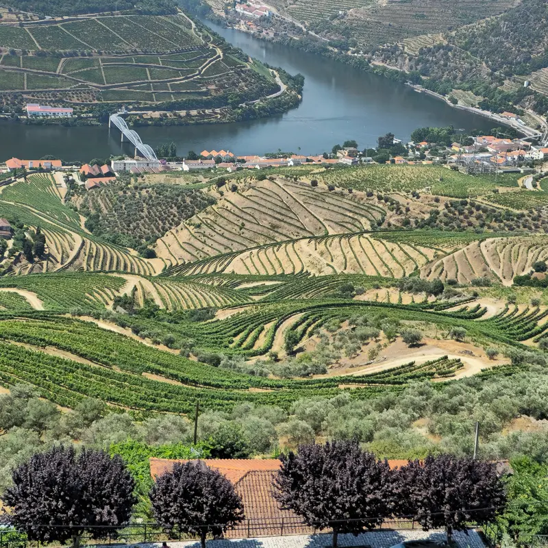 Miradouro de Casal de Loivos