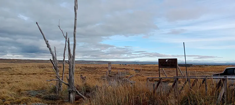 Reserva Natural Pingüino Rey