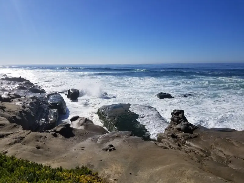 Windansea Beach