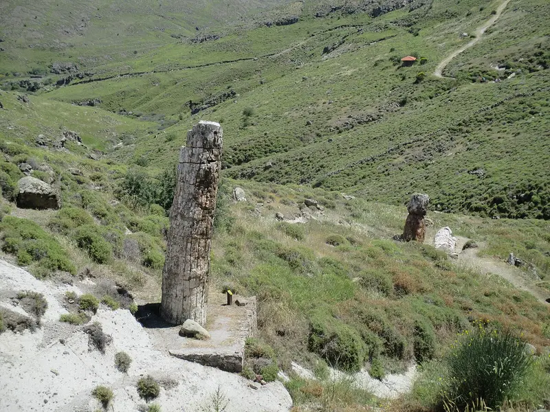 The Petrified Forest of Sigri