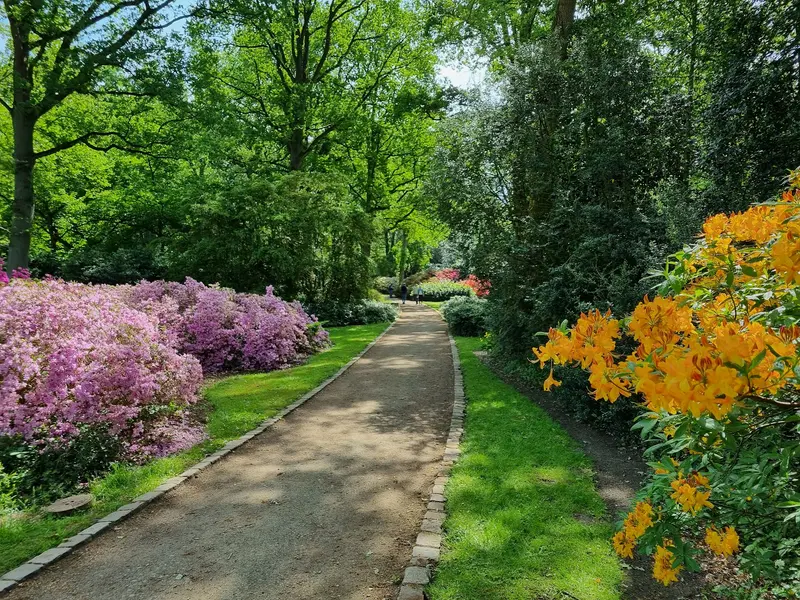 Rhododendron Park