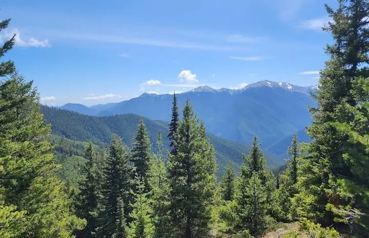 Olympic National Park
