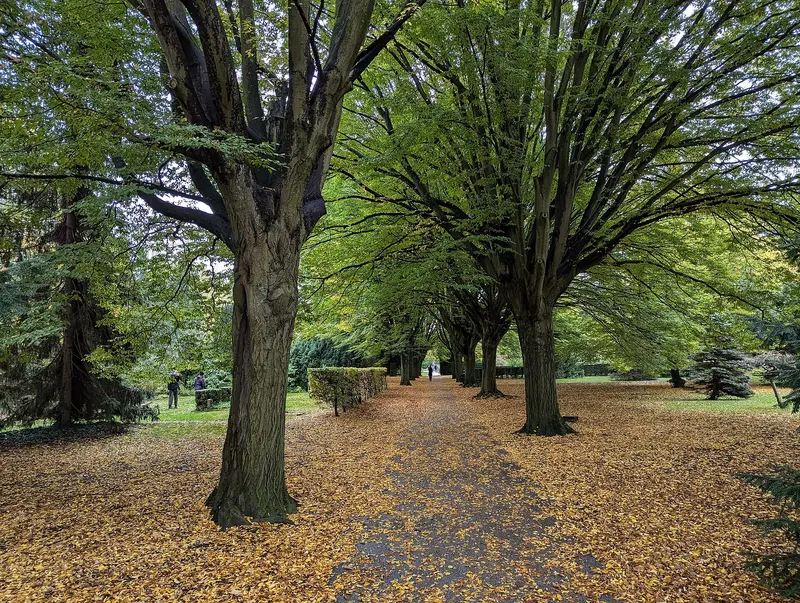 Assistens Kirkegård