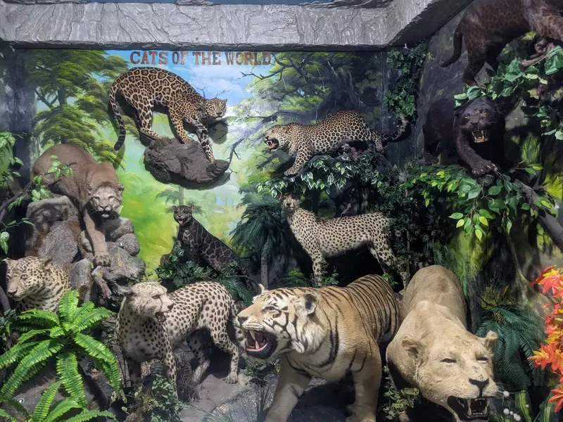 Rahmat International Wildlife Museum