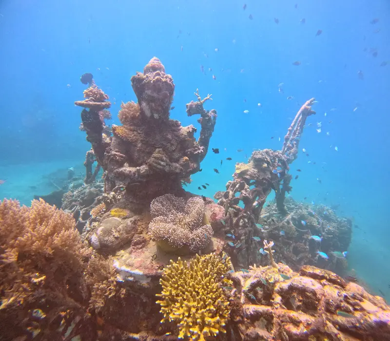 Biorock Pemuteran