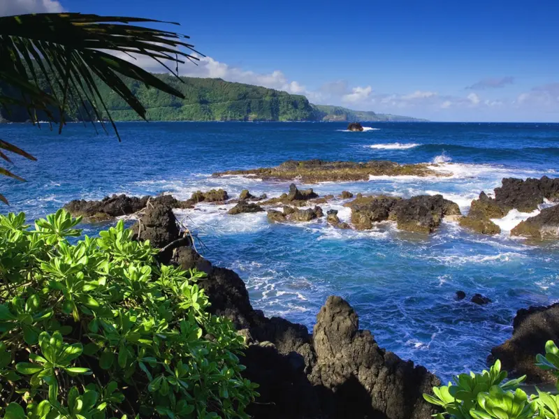 Nationalpark West-Bali