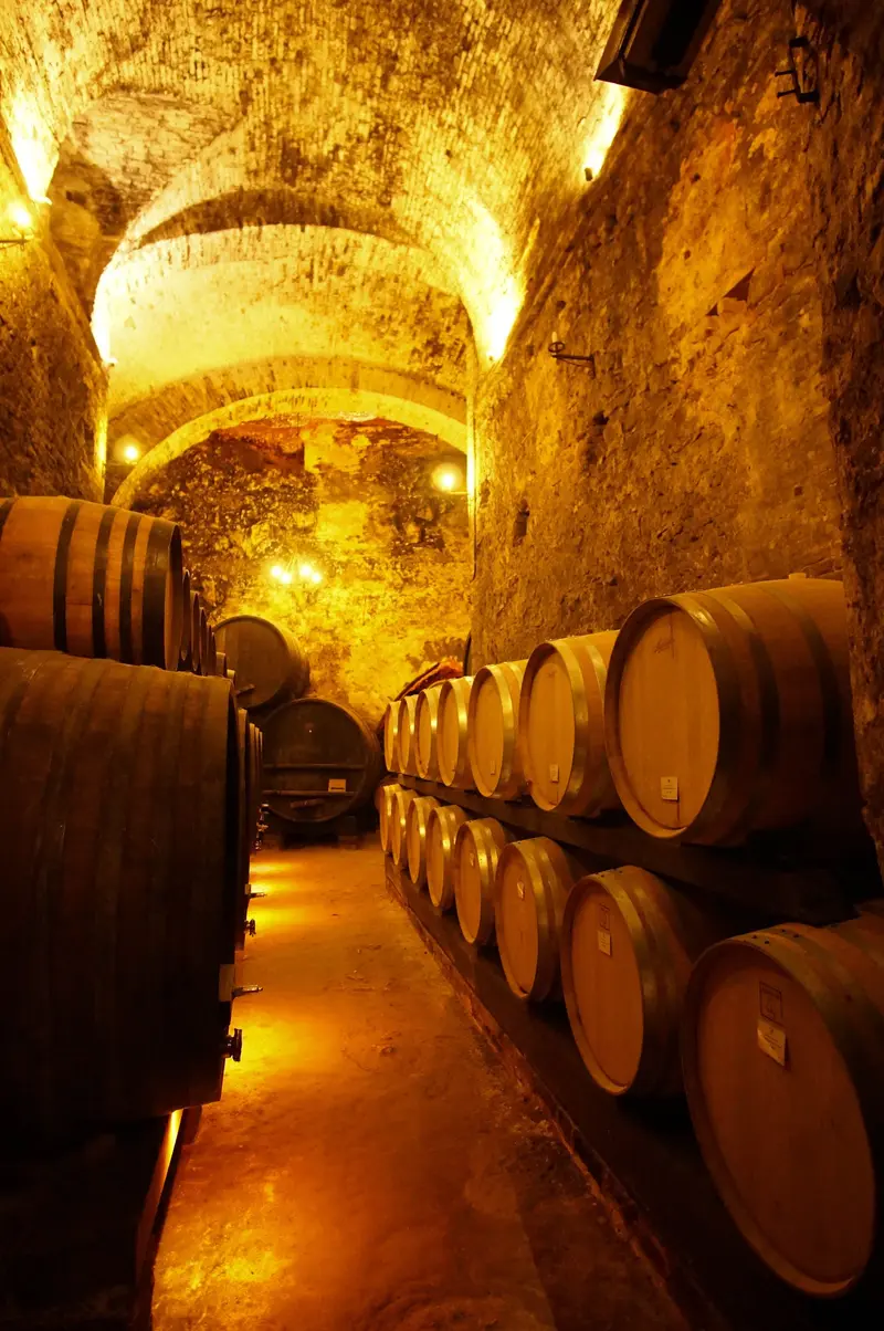 De' Ricci Cantine Storiche