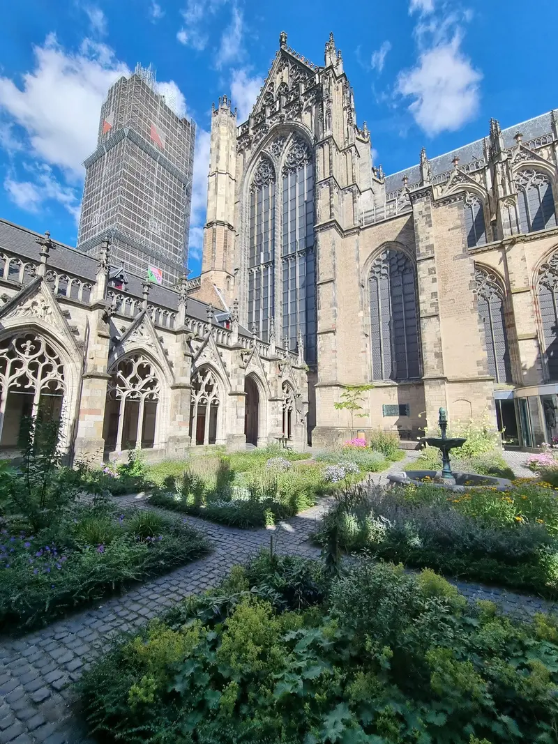 Dom (Domkerk)
