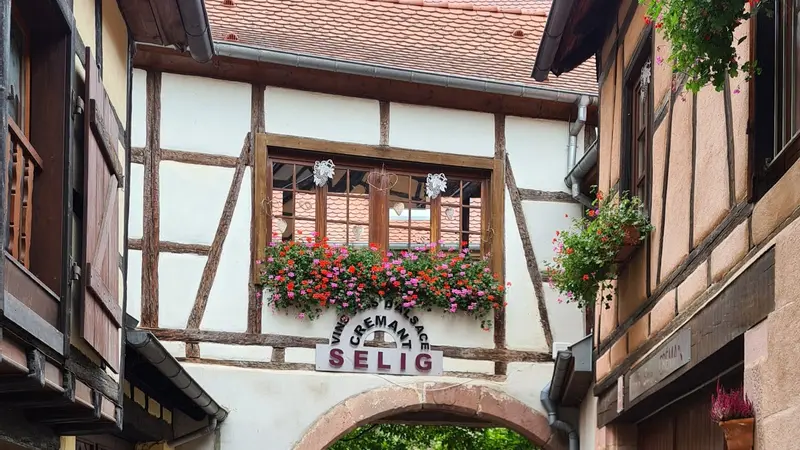 Sélig Jean-Michel