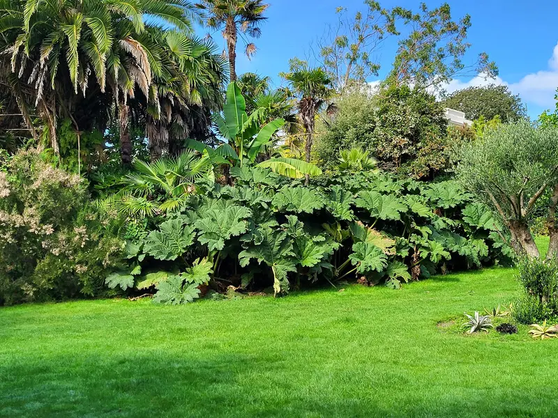 Morrab Gardens
