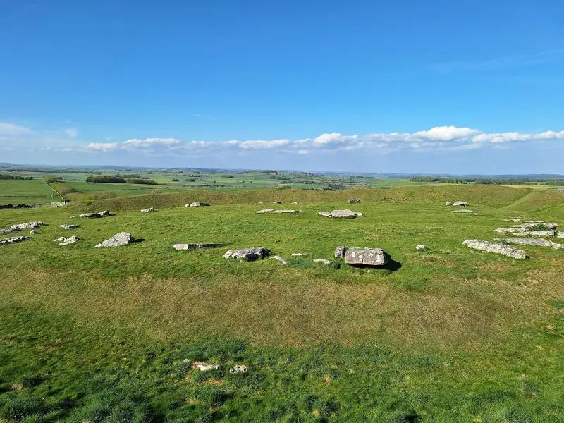 Arbor Low