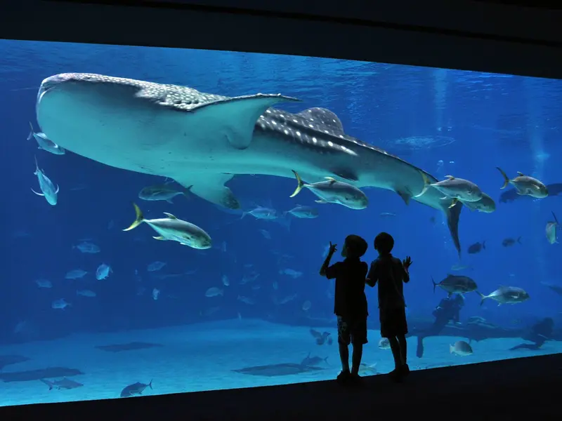 Acquario di Genova