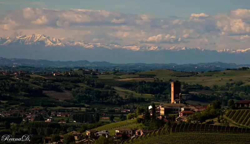 Torre di Barbaresco