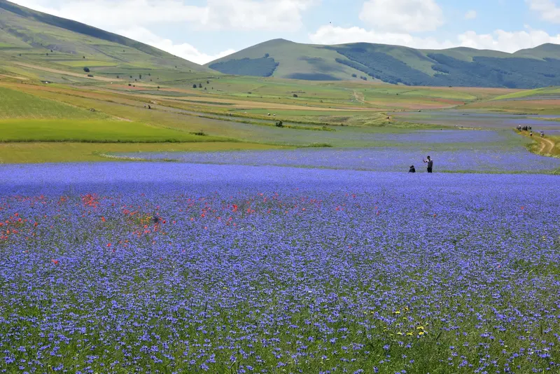 Piano Grande von Castelluccio