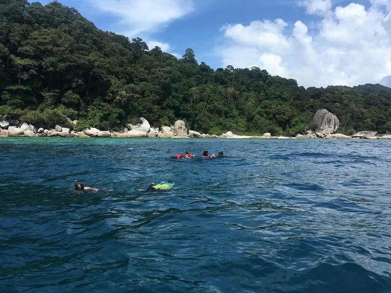Shark Point
