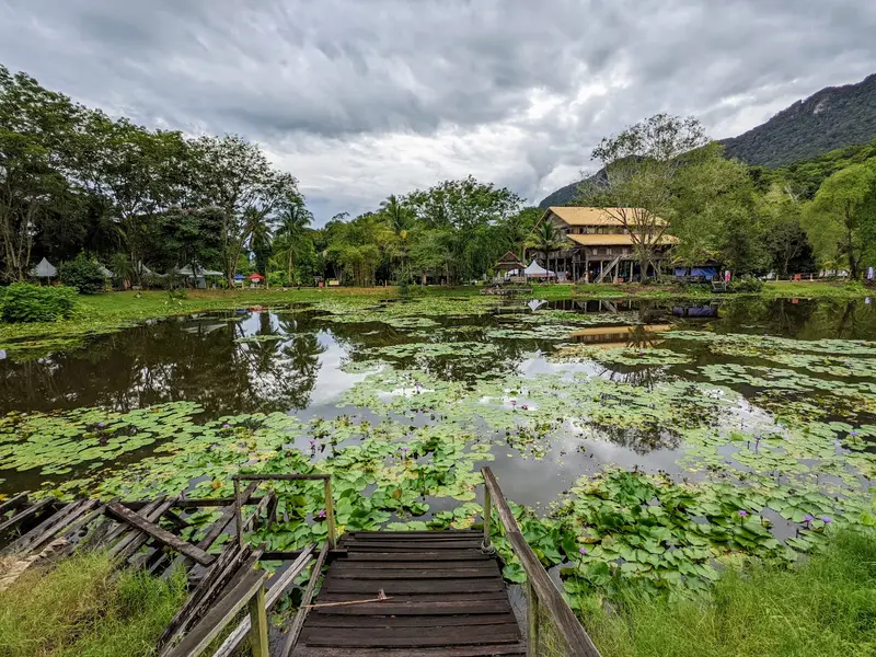 Sarawak Cultural Village Lotus Pond