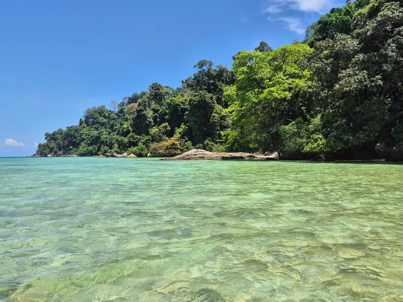 Monkey Bay