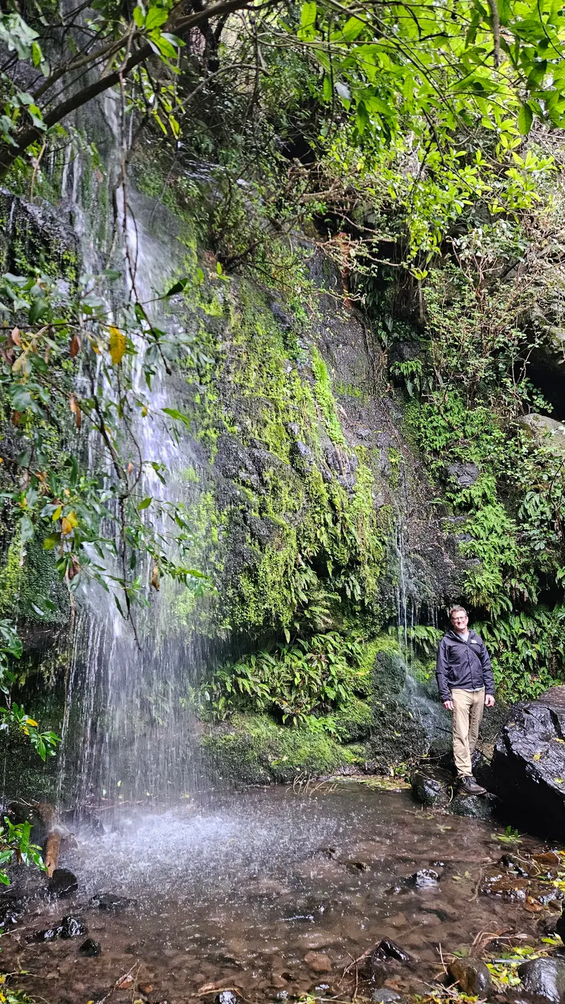 Newton's Waterfall