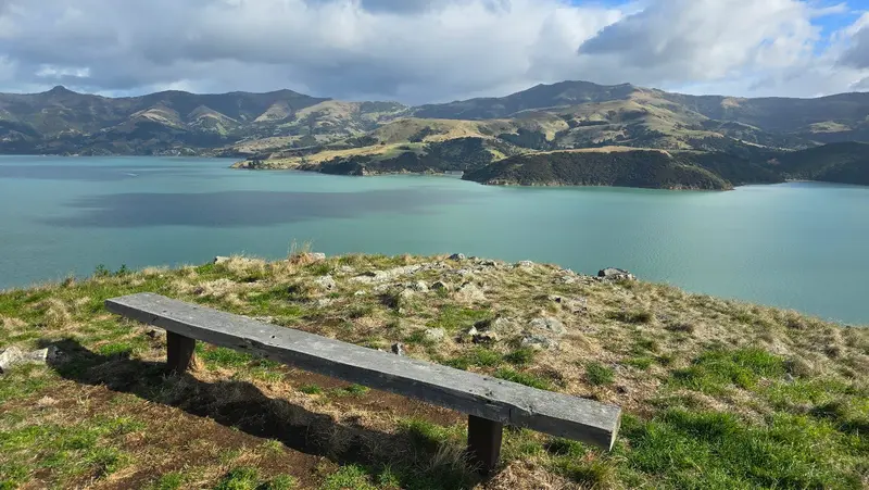 Viewpoint (Children Bay Loop)