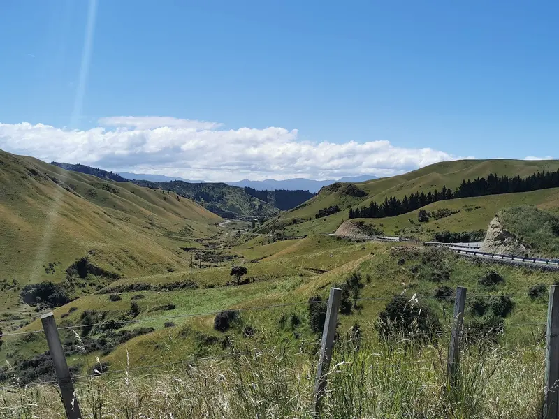 Weld Pass