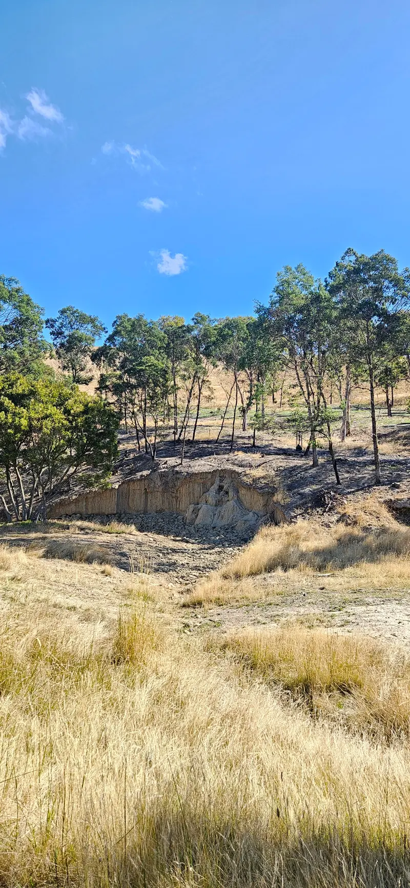 Marlborough Cliffs